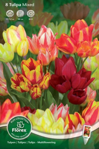 Тюльпан многоцветковый Смесь окрасок (8 шт.)