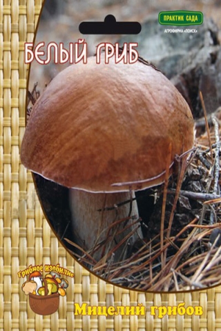 Белый гриб (60 мл.)